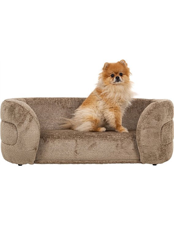 couchage chien chic chenille taupe intérieur contemporain