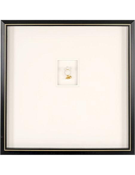 décoration murale design noir et blanc avec touche dorée