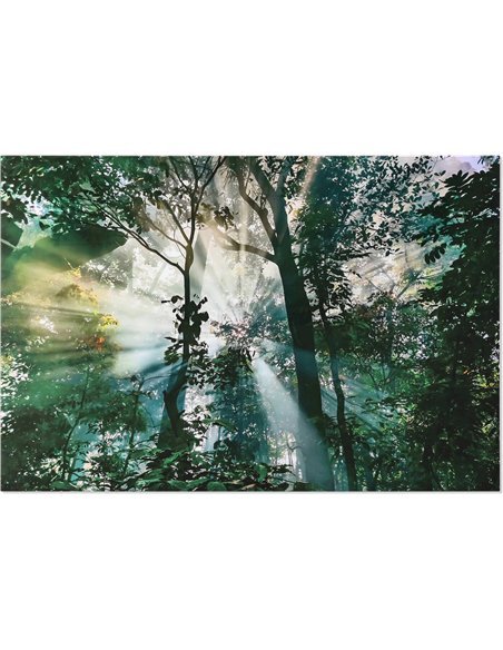 Tableau décoratif verre trempé forêt lumineuse vert élégant
