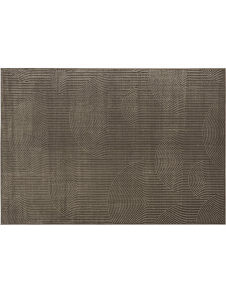 inspiration déco tapis marron en viscose pour salon