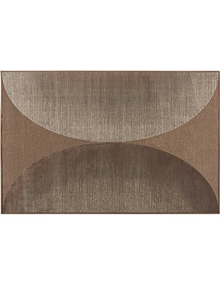 tapis marron viscose style classique élégant pour salon