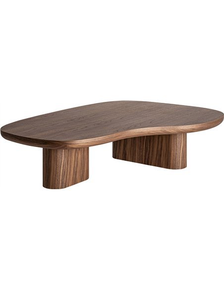 table basse salon marron brillante tendance moderne