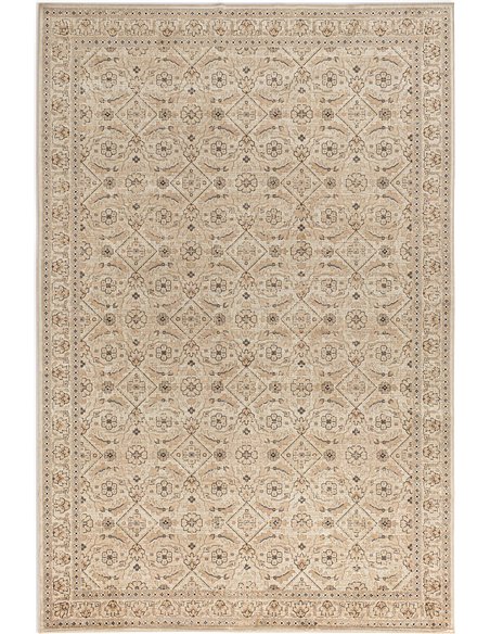 Tapis doux et raffiné style classique brun