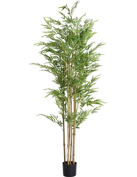 bambou décoratif vert style classique pour salon élégant