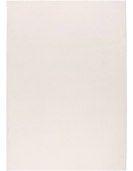 Tapis intérieur ivoire Earthquake texture courte et élégante