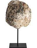 Figurine décorative en coquille sur socle