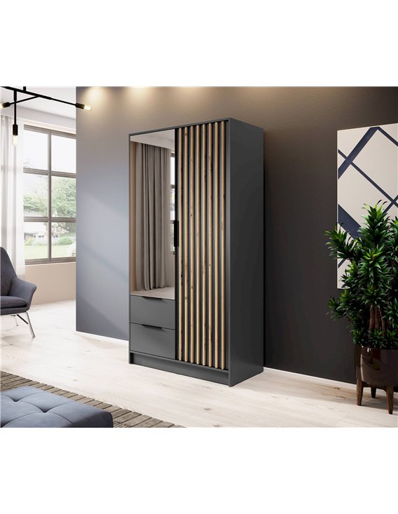 Armoire deux portes avec miroir et lattes anthracite et bois dans un intérieur
