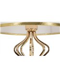 Lampe décorative avec finitions dorées