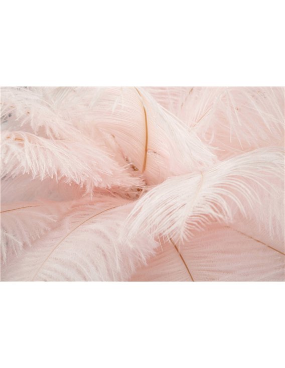 Lampe à poser plumeuse rose, gros plan sur la douceur des plumes