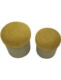 Deux poufs coffre vert olive et jaune vus de face