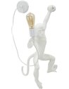 Applique murale singe avec ampoule apparente