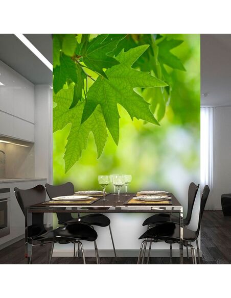 Papier peint FEUILLES SHALLOW FOCUS - par Artgeist