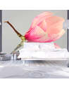 Papier peint FLEUR DE MAGNOLIA SOLITAIRE - par Artgeist