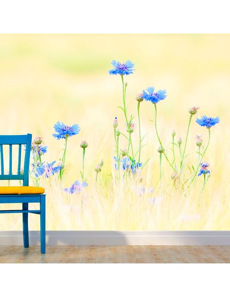 Papier peint BLEUETS - par Artgeist