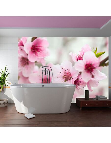 Papier peint CERISIER EN FLEURS AVEC PETITES FLEURS ROSES - par Artgeist