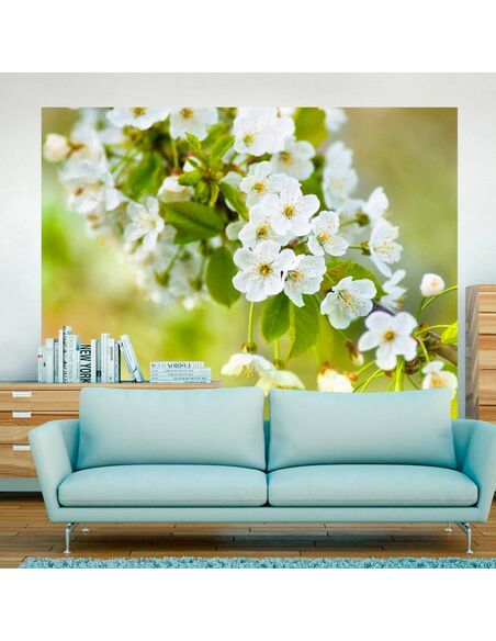 Papier peint FLEURS DE CERISIER DÉLICATES - par Artgeist