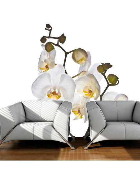 Papier peint SHYNESS - par Artgeist