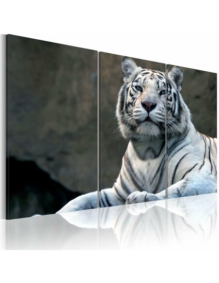 Tableau TIGRE BLANC - par Artgeist