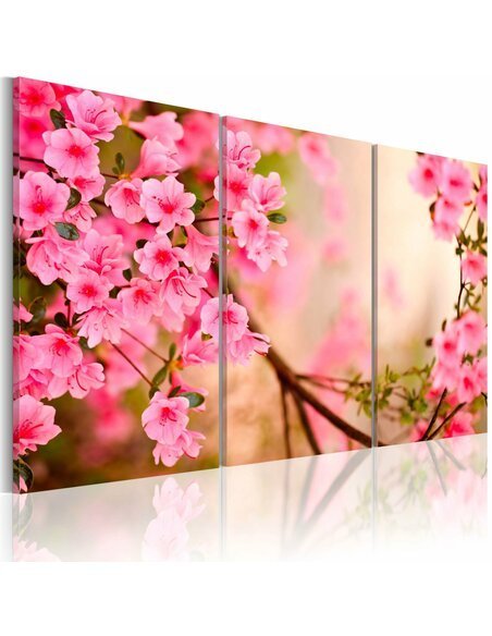 Tableau FLEUR DE CERISIER  - par Artgeist