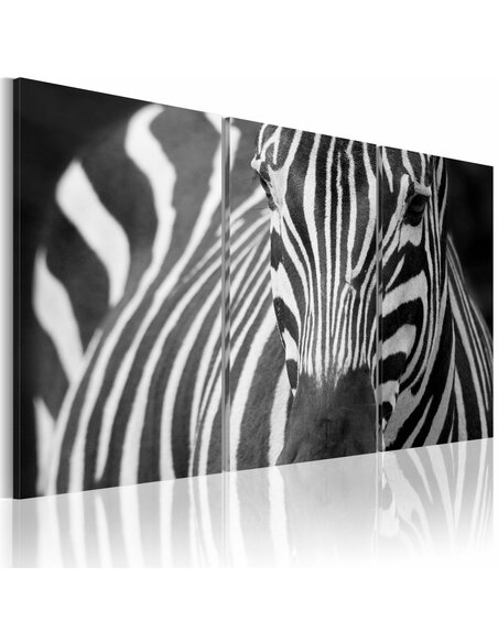 Tableau MME ZÈBRE - par Artgeist