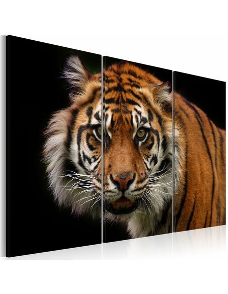 Tableau TIGRE PRÉDATEUR - par Artgeist