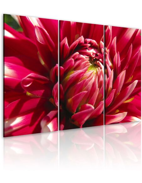 Tableau Triptyque - Jardin fleurissant - dahlia - par Artgeist