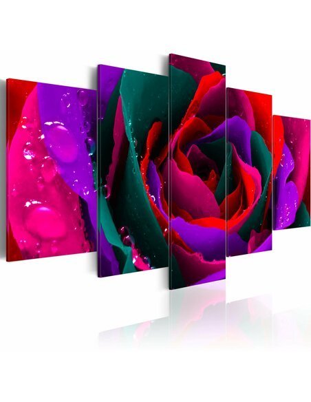 Tableau MULTICOLOURED ROSE - par Artgeist