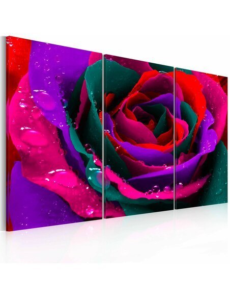Tableau ROSE IRISÉE - par Artgeist