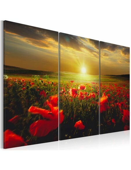 Tableau Triptyque - Le ciel de mon pays - par Artgeist