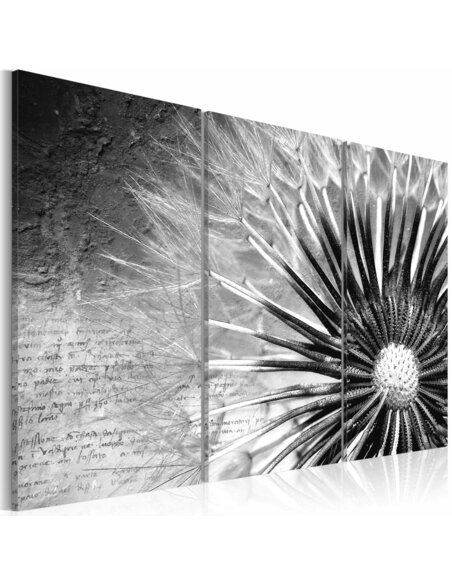 Tableau PISSENLIT en N&B - par Artgeist