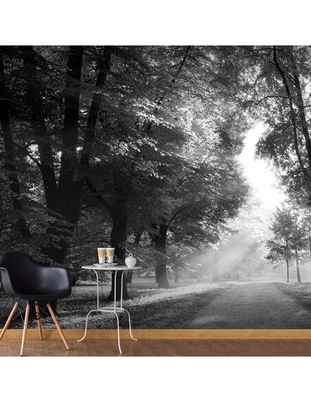 Papier peint PATH OF MEMORIES - par Artgeist