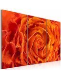 Tableau ROSE EN ORANGE Triptyque - par Artgeist