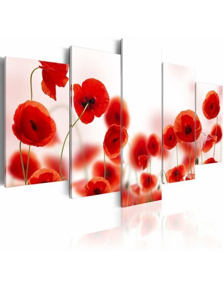 Tableau - 5 tableaux - Coquelicots rougeâtres - par Artgeist