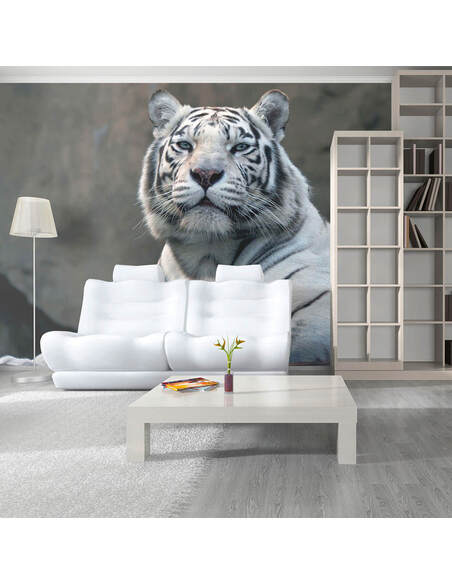 Papier peint TIGRE DU BENGALE AU ZOO - par Artgeist