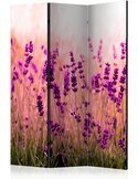 Paravent 3 volets LAVENDER IN THE RAIN - par Artgeist