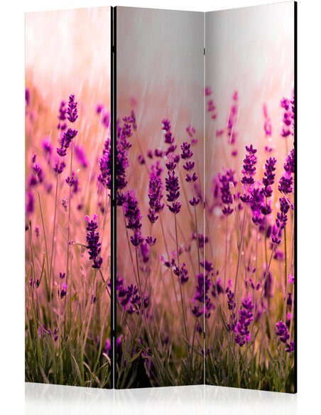 Paravent 3 volets LAVENDER IN THE RAIN - par Artgeist