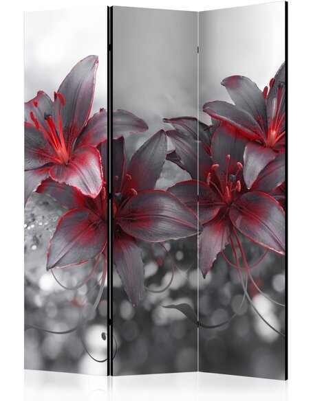 Paravent 3 volets SHADOW OF PASSION - par Artgeist