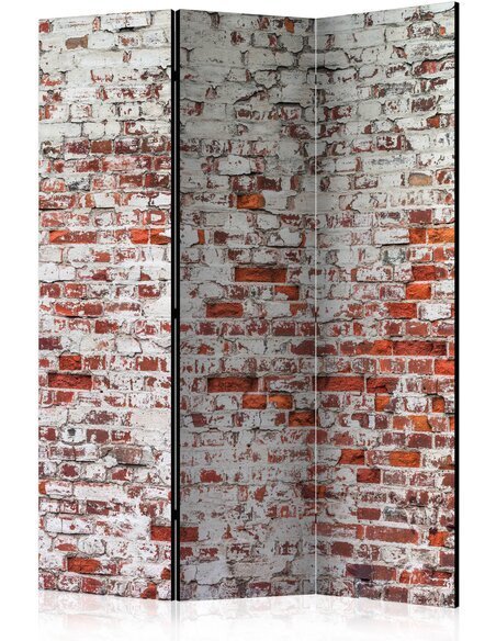 Paravent 3 volets ÉCHO DES JOURS PASSÉS - par Artgeist