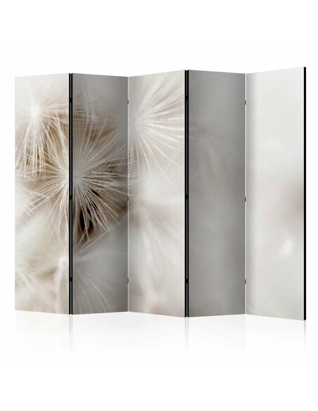 Paravent 5 volets SUBTLENESS II - par Artgeist