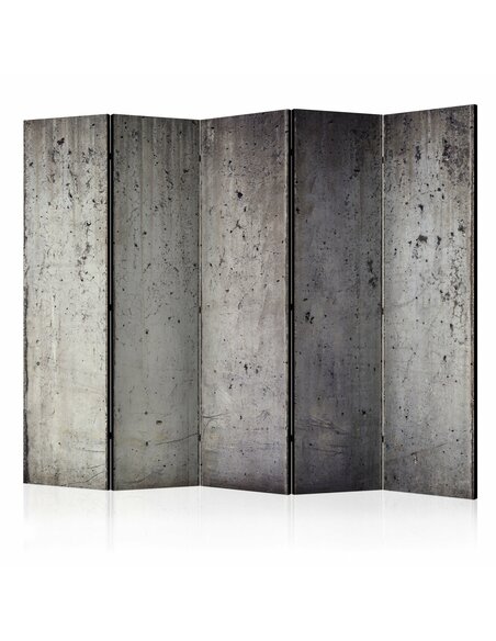 Paravent 5 volets GREY CITY - par Artgeist