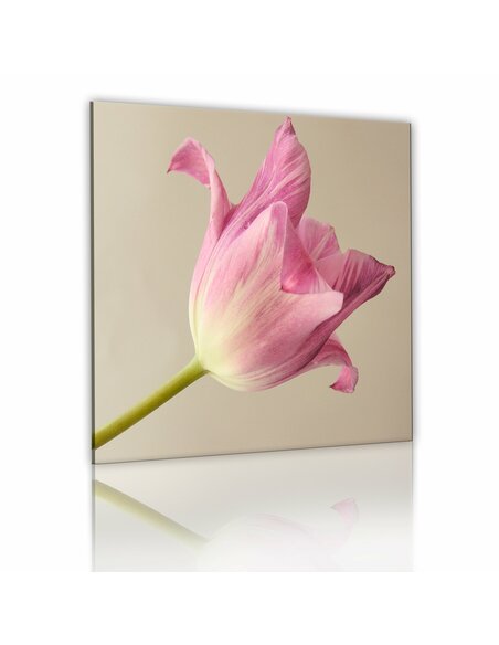 Tableau Fleur De La Tulipe  - par Artgeist