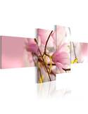 Tableau - 4 tableaux - Branche du magnolia - par Artgeist