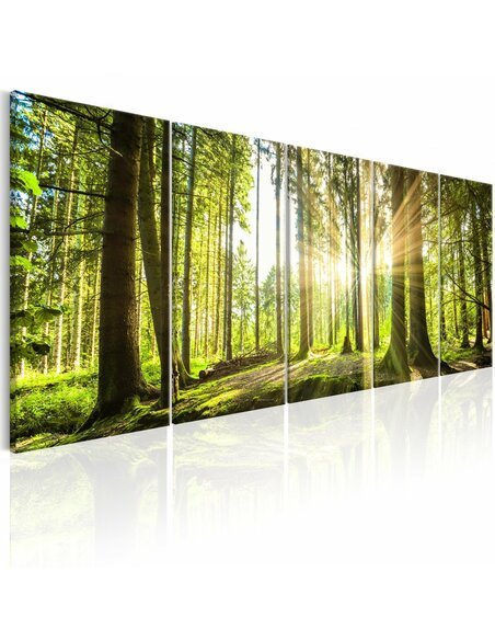 Tableau SUNLIGHT - par Artgeist