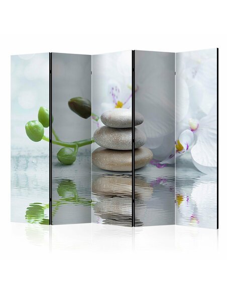 Paravent 5 volets WATER REFLECTION II - par Artgeist