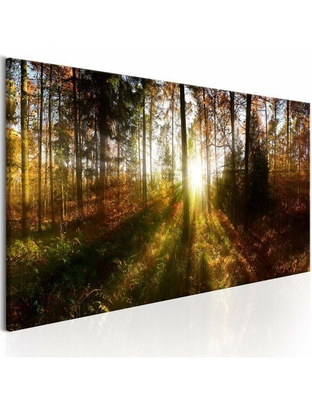 Tableau BEAUTIFUL FOREST  - par Artgeist