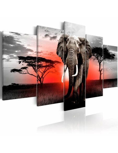 Tableau LONELY ELEPHANT - par Artgeist