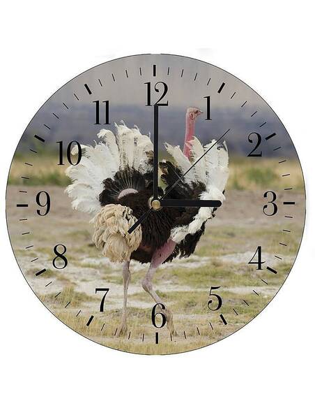 Horloge AUTRUCHE imprimé sur bois - par Feeby
