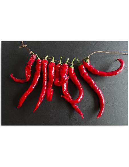 Tableau PIMENTS imprimé sur bois - par Feeby