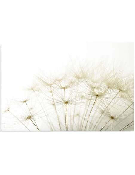 Tableau FRAGMENT DE PISSENLIT imprimé sur bois - par Feeby
