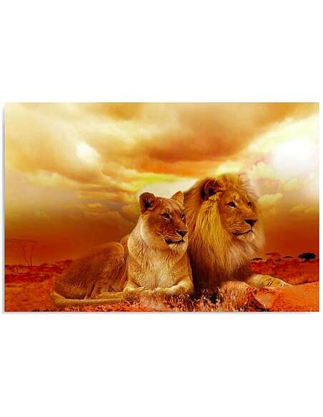 Tableau UNE PAIRE DE LIONS imprimé sur bois - par Feeby